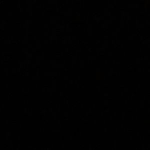 Meet your Posher, Alissa